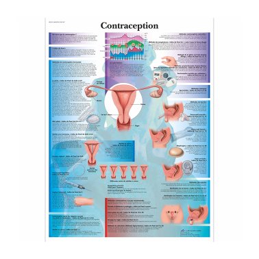 Planche prévention contraception
