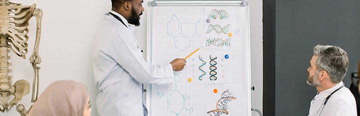 Planches Anatomiques